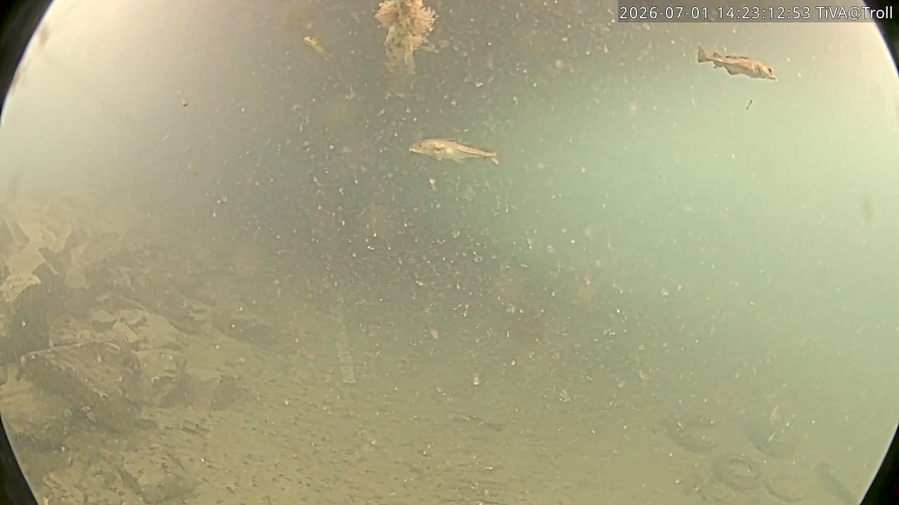 Video 2026-07-01 14:23