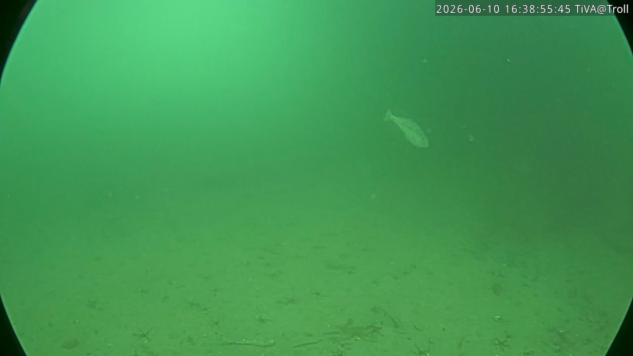 Video 2026-06-10 16:39