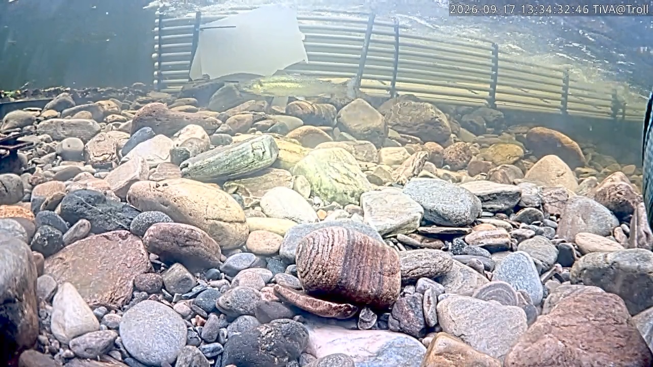 Video 2026-09-17 13:34
