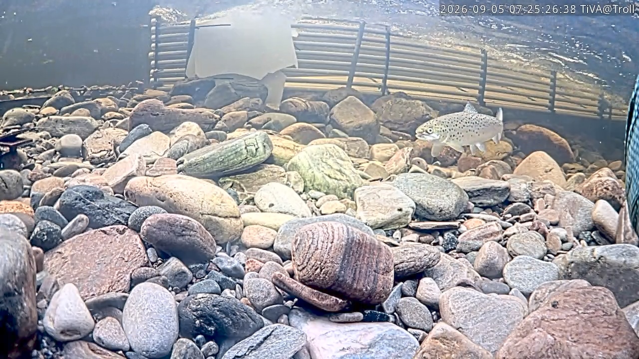 Video 2026-09-05 07:25