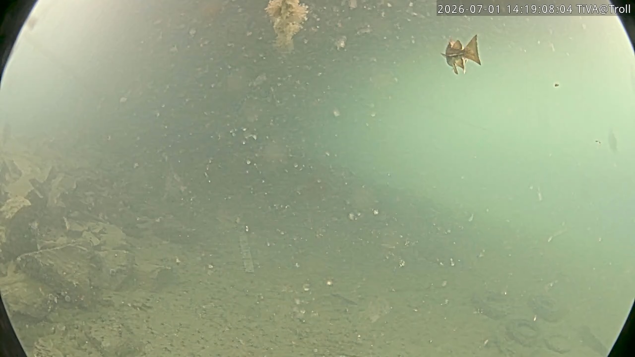 Video 2026-07-01 14:19