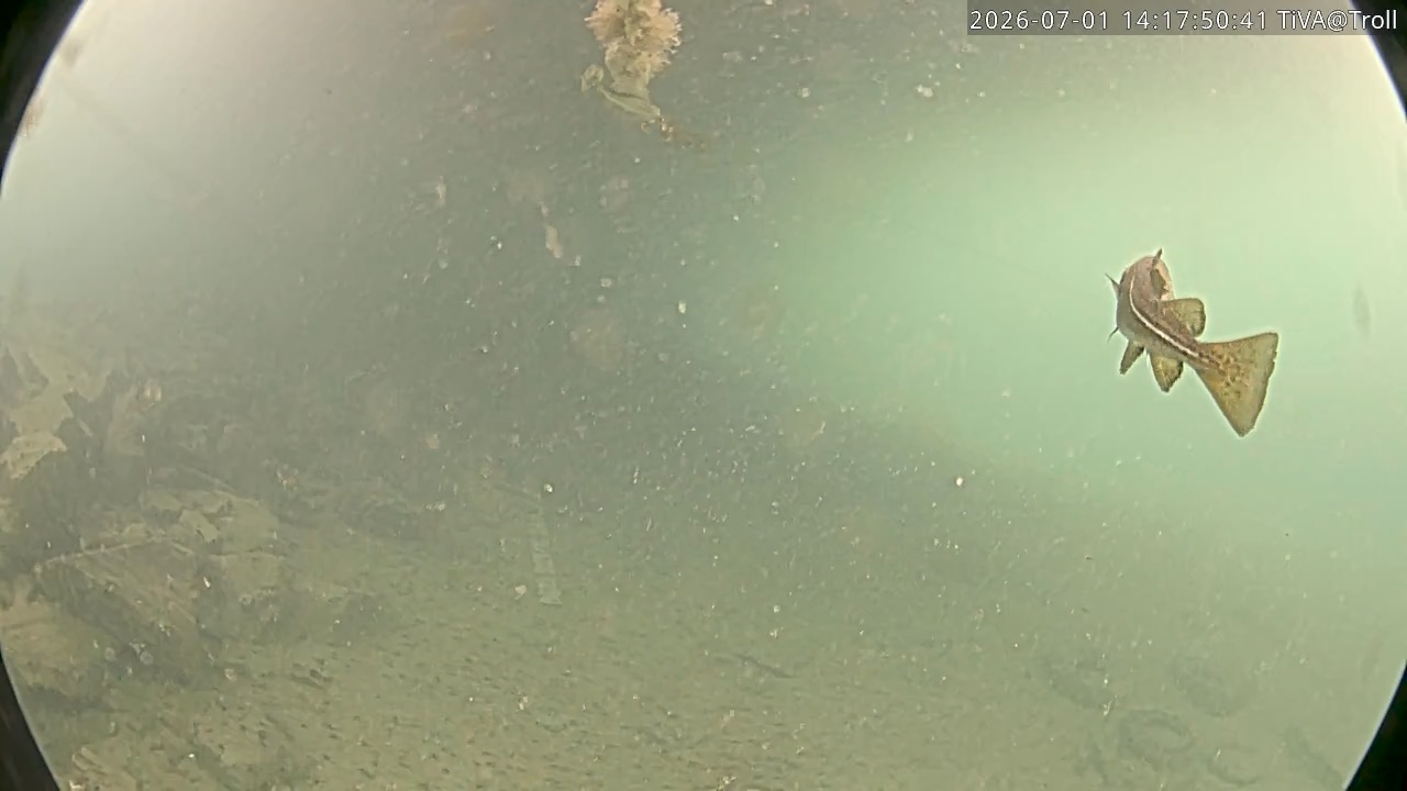 Video 2026-07-01 14:17