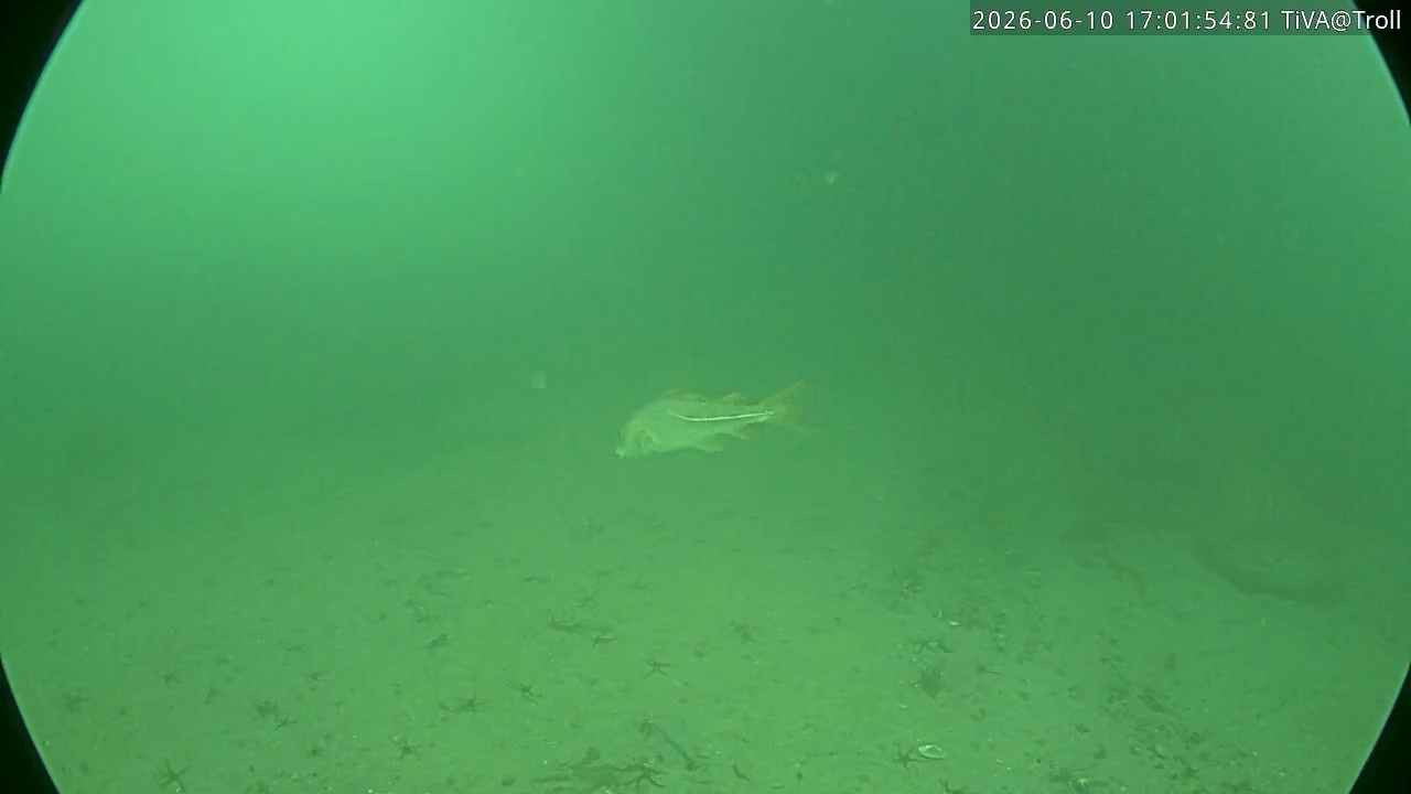 Video 2026-06-10 17:02