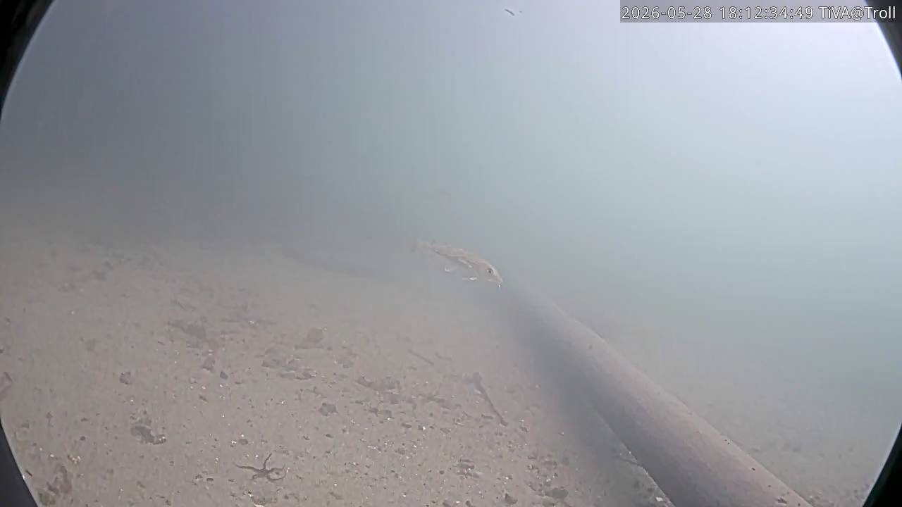 Video 2026-05-28 18:12
