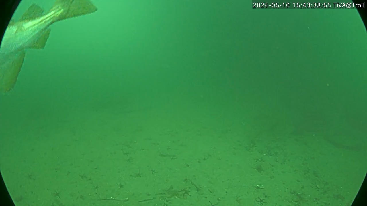 Video 2026-06-10 16:43