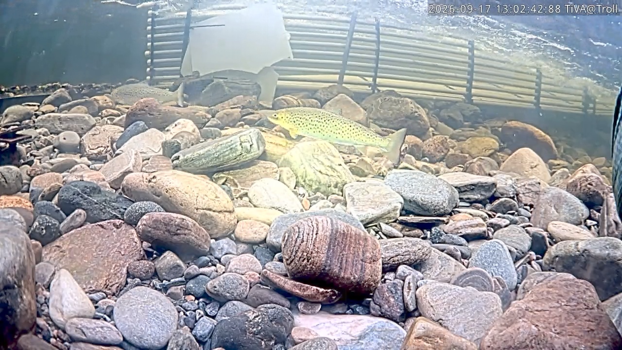 Video 2026-09-17 13:02