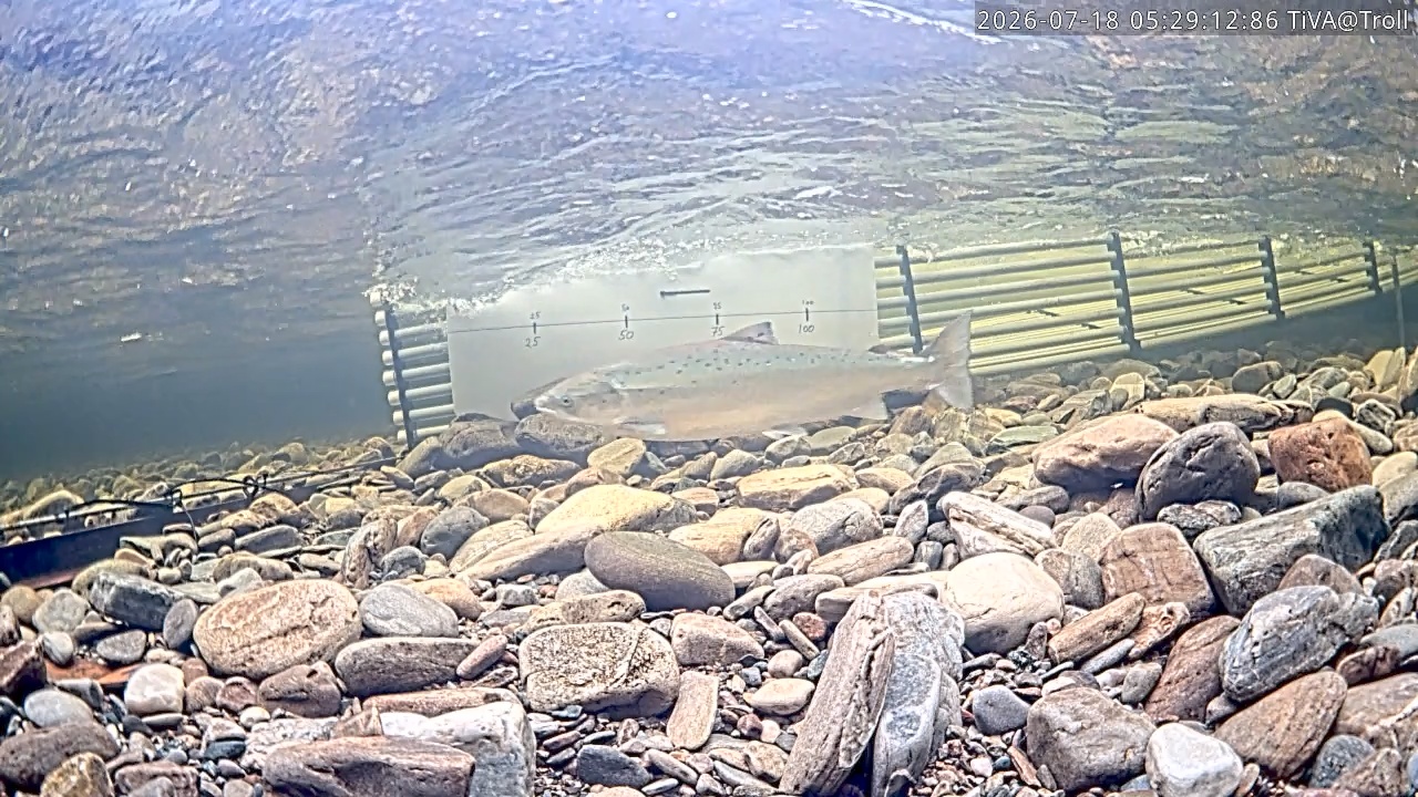 Video 2026-07-18 05:29