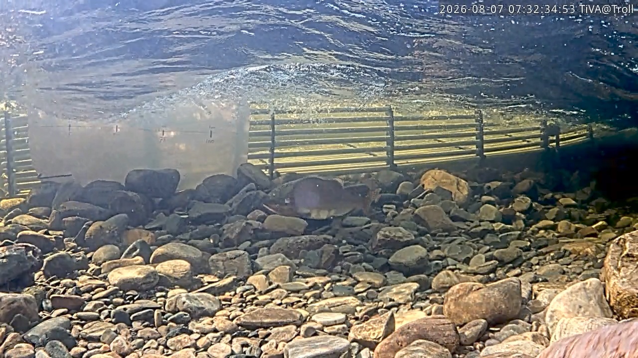 Video 2026-08-07 07:32