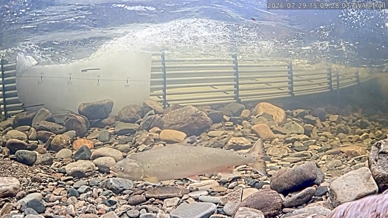 Video 2026-07-29 15:11
