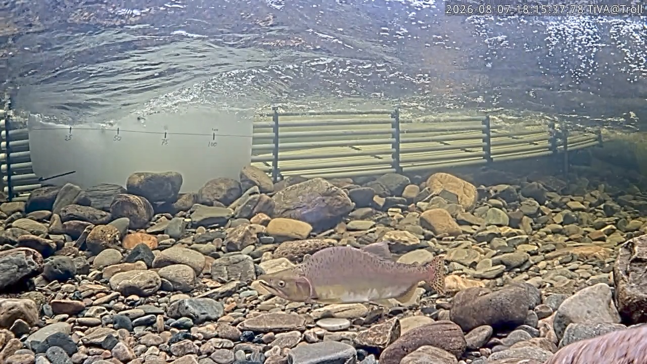 Video 2026-08-07 18:15