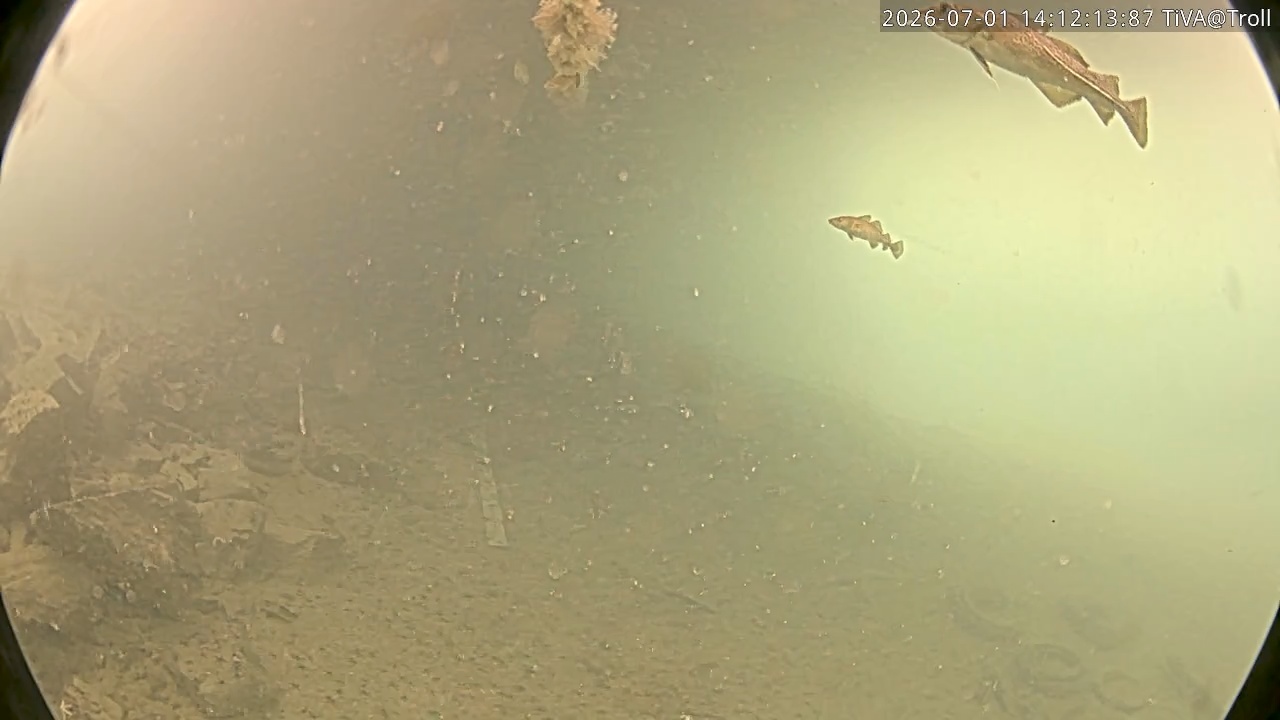 Video 2026-07-01 14:12