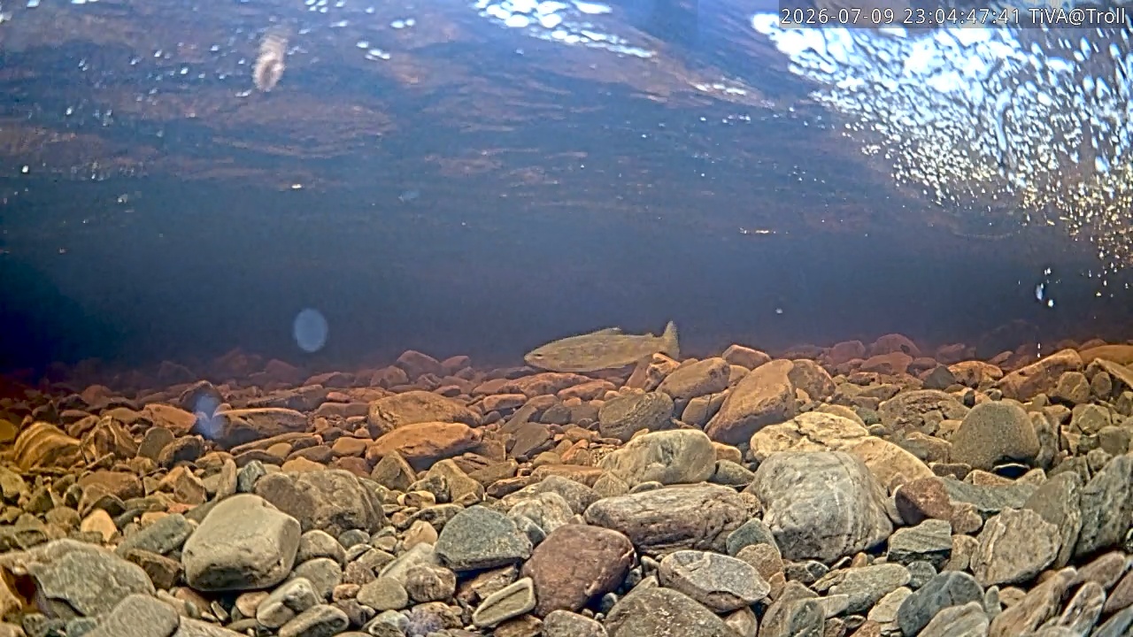 Video 2026-07-09 23:04