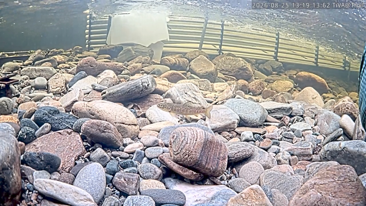 Video 2026-08-25 13:19
