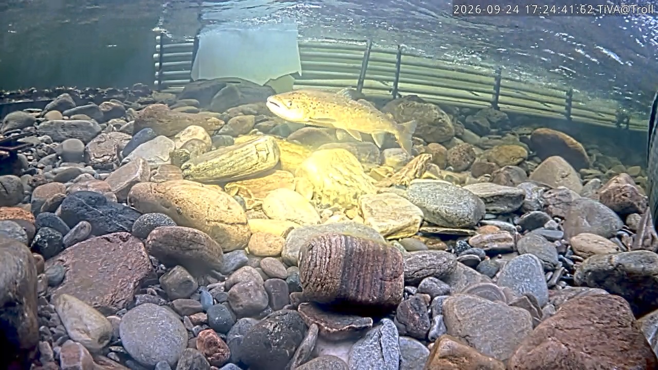 Video 2026-09-24 17:24