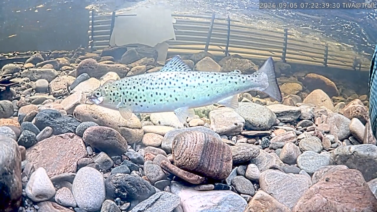 Video 2026-09-05 07:22