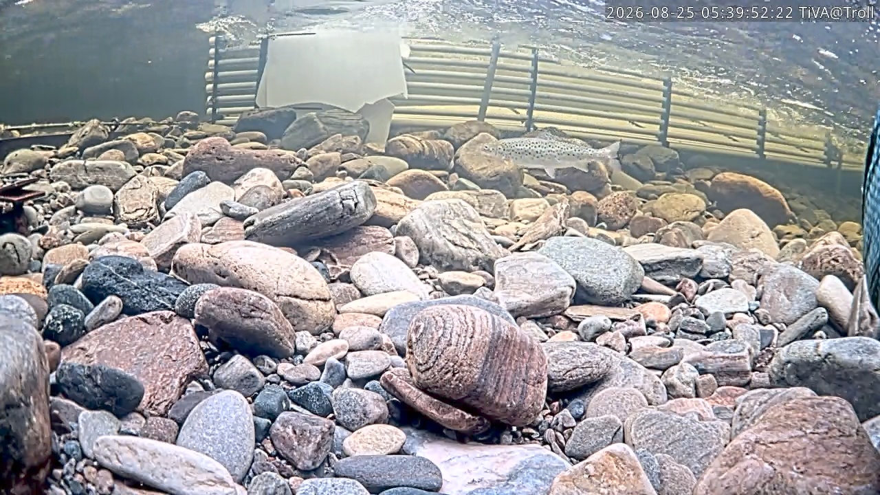 Video 2026-08-25 05:39