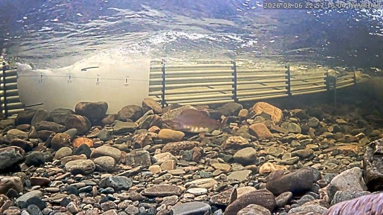 Video 2026-08-06 22:57