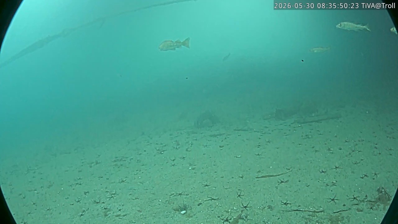 Video 2026-05-30 08:35