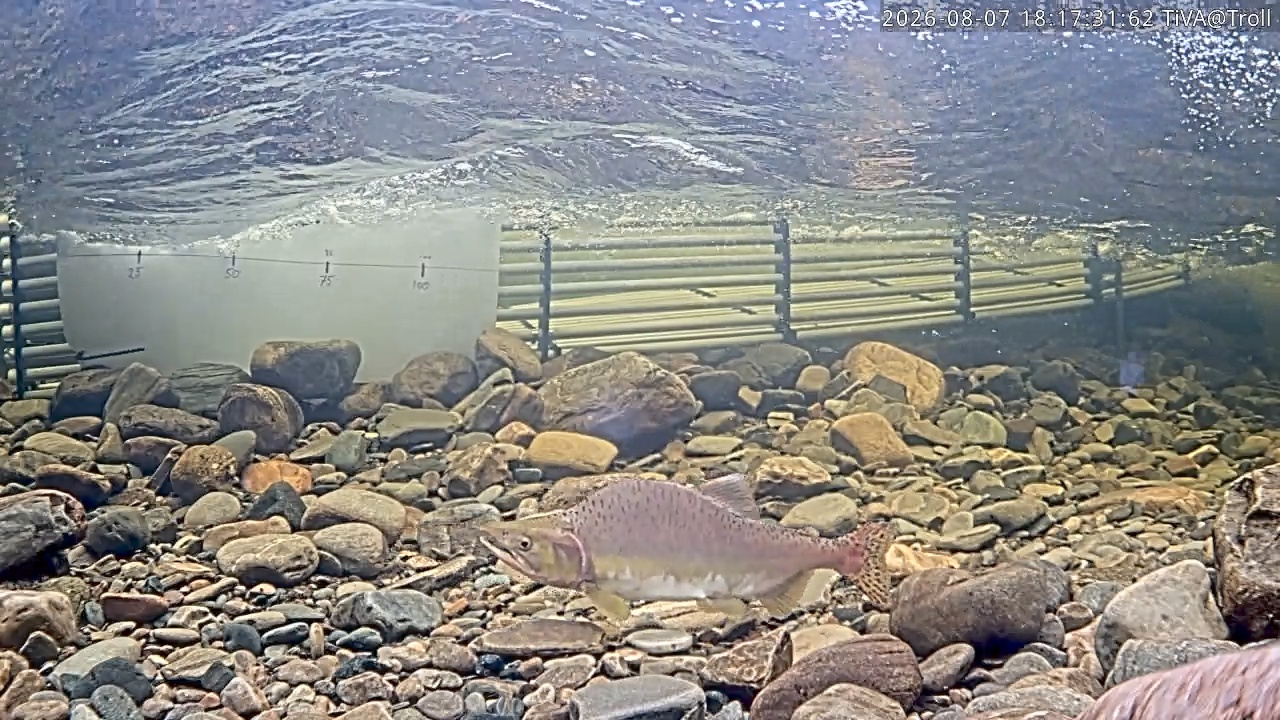 Video 2026-08-07 18:17