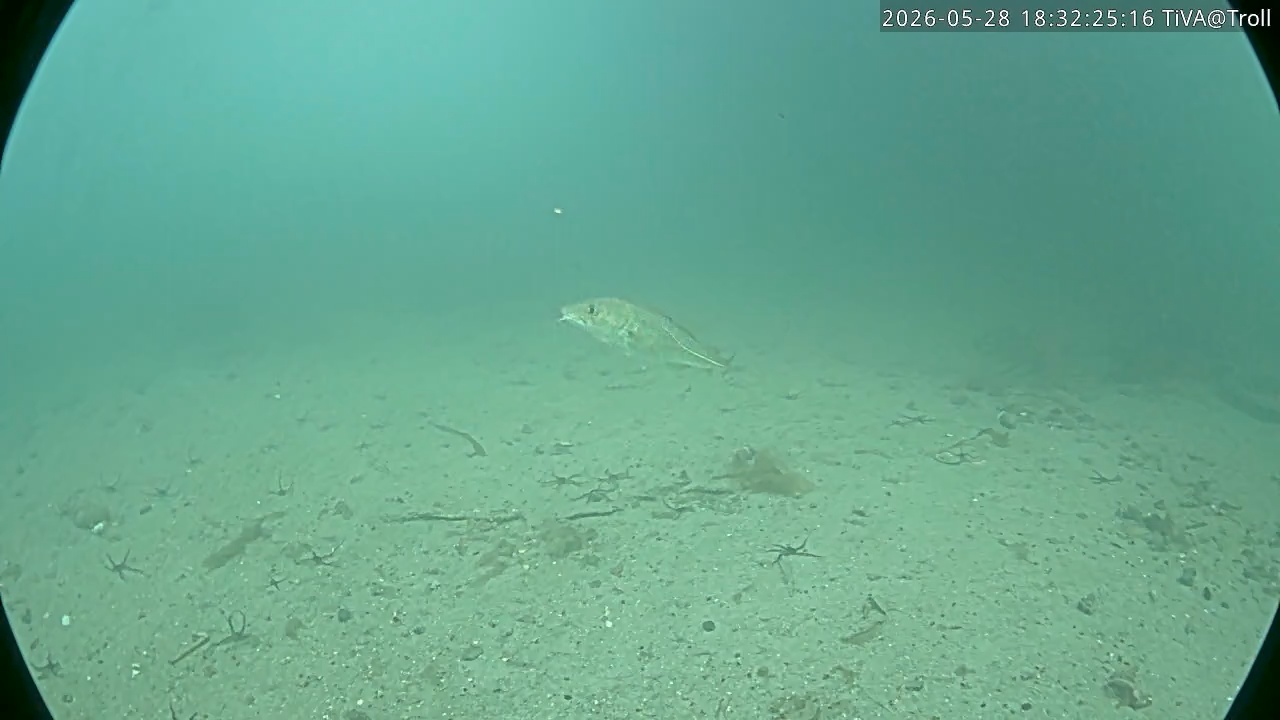 Video 2026-05-28 18:32