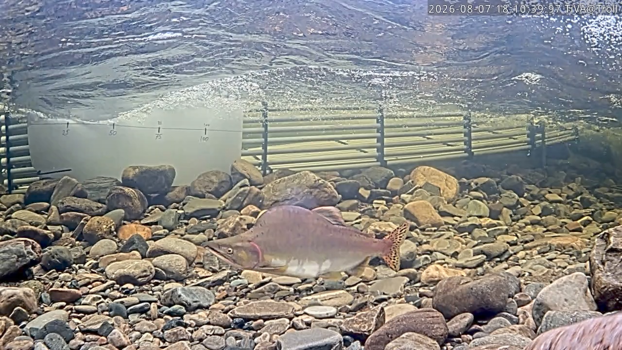 Video 2026-08-07 18:10