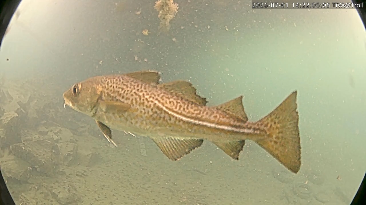 Video 2026-07-01 14:22