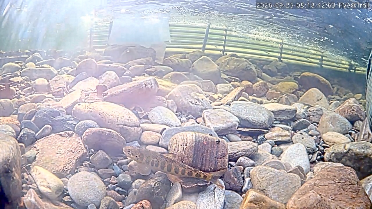 Video 2026-09-25 08:18