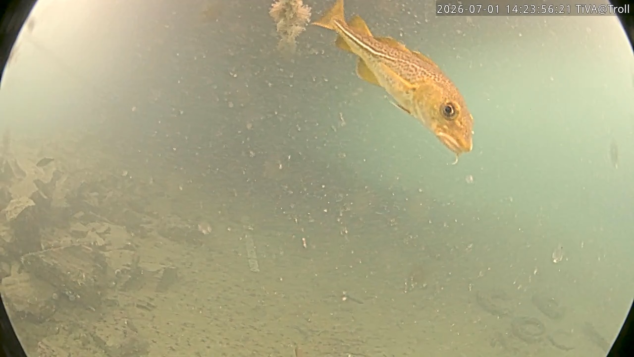 Video 2026-07-01 14:24