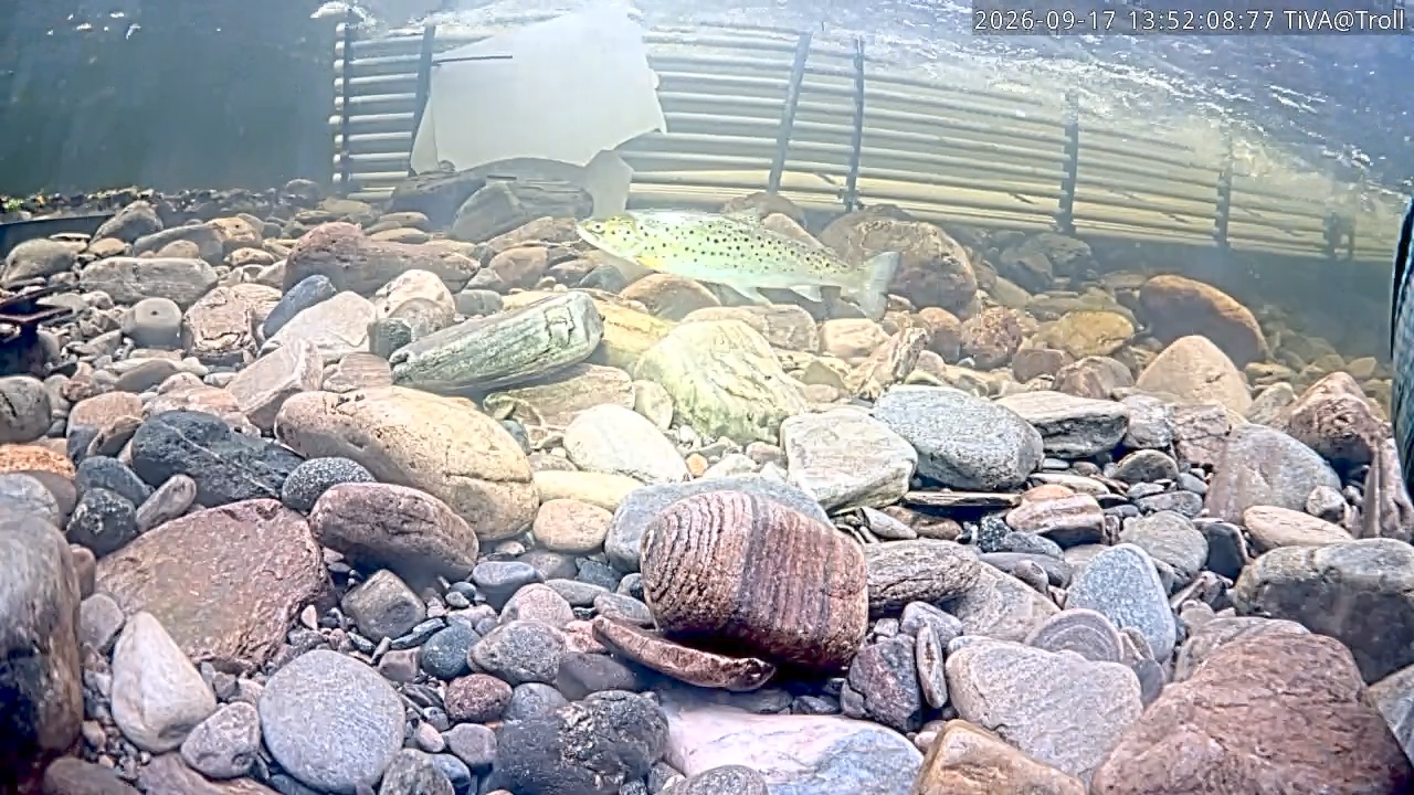 Video 2026-09-17 13:52
