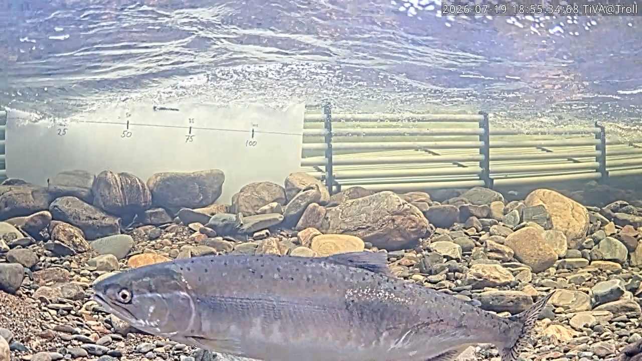 Video 2026-07-19 18:55