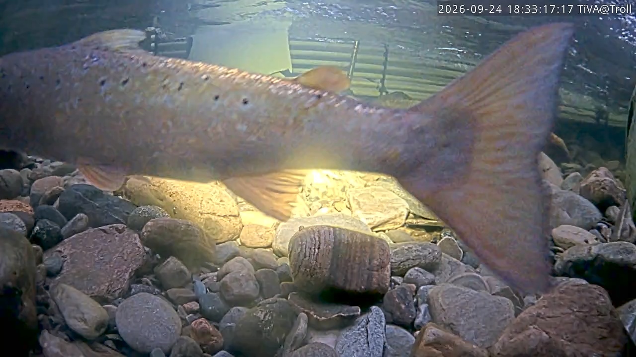Video 2026-09-24 18:33