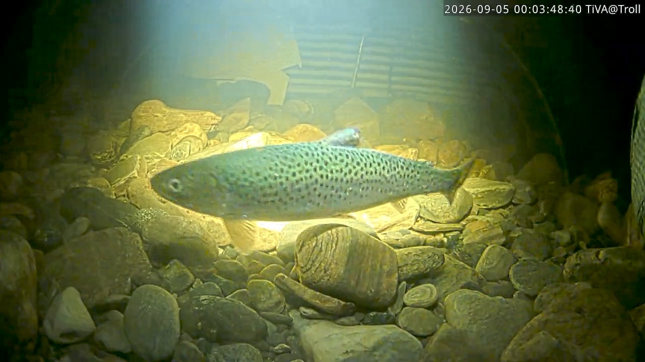 Video 2026-09-05 00:03