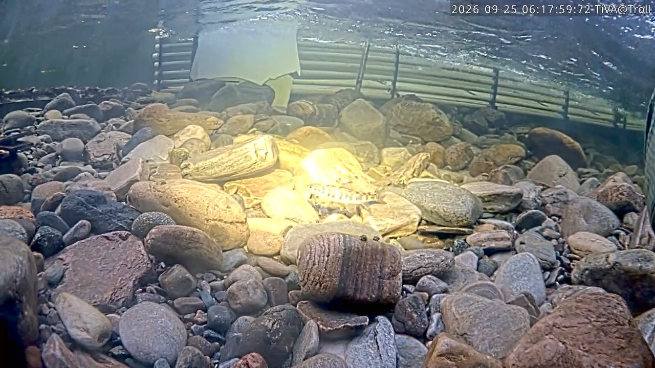 Video 2026-09-25 06:18