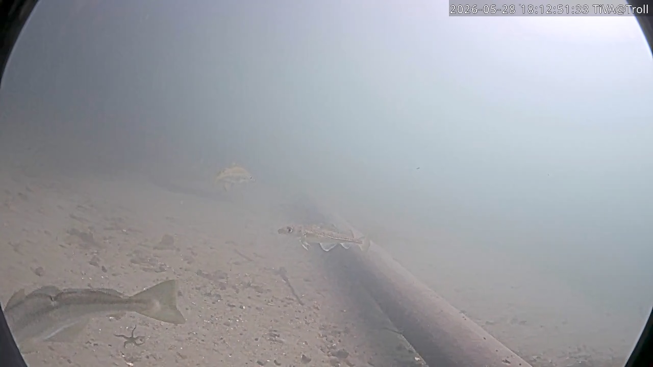 Video 2026-05-28 18:12