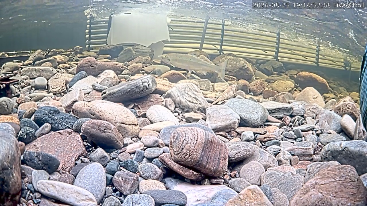 Video 2026-08-25 19:14