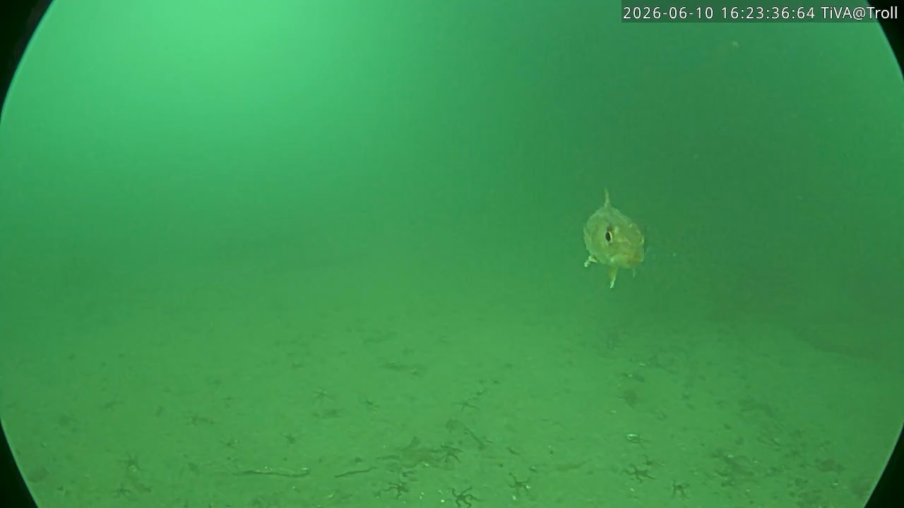 Video 2026-06-10 16:23