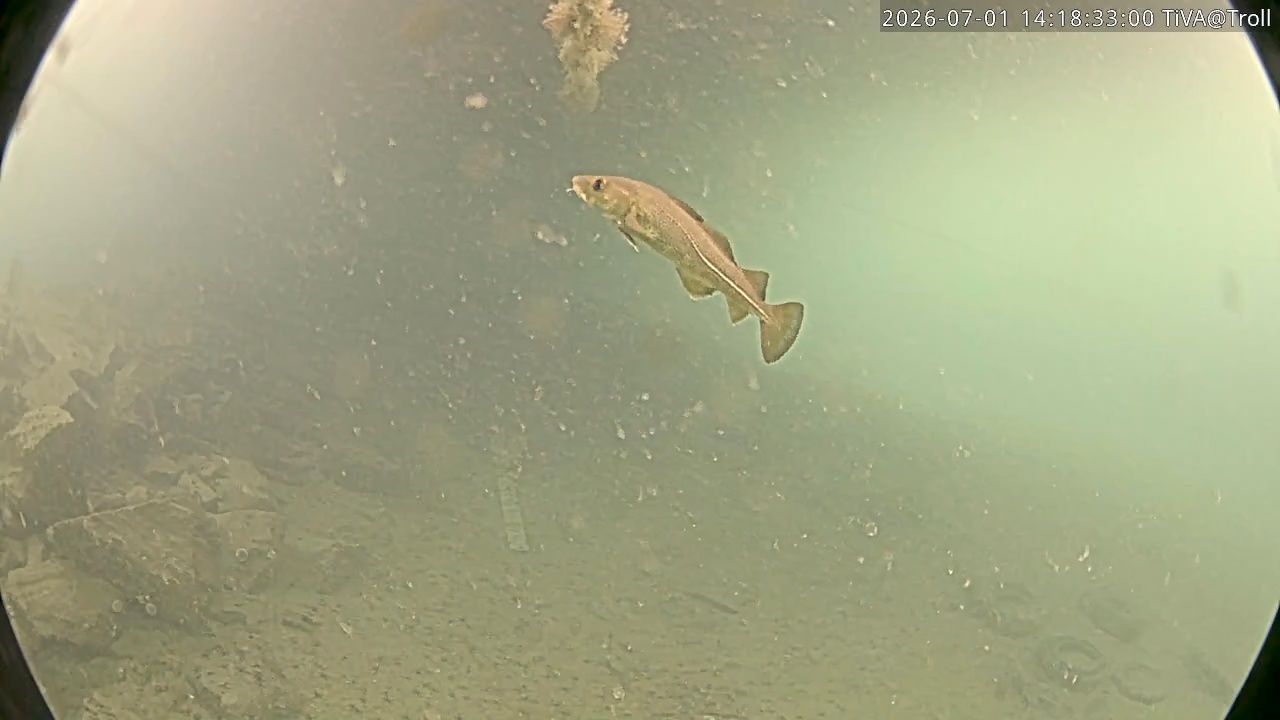 Video 2026-07-01 14:18