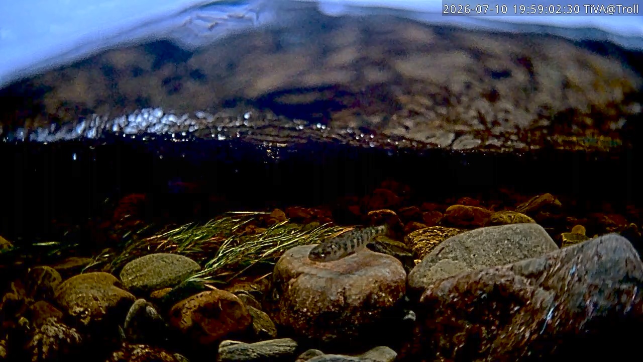 Video 2026-07-10 19:59