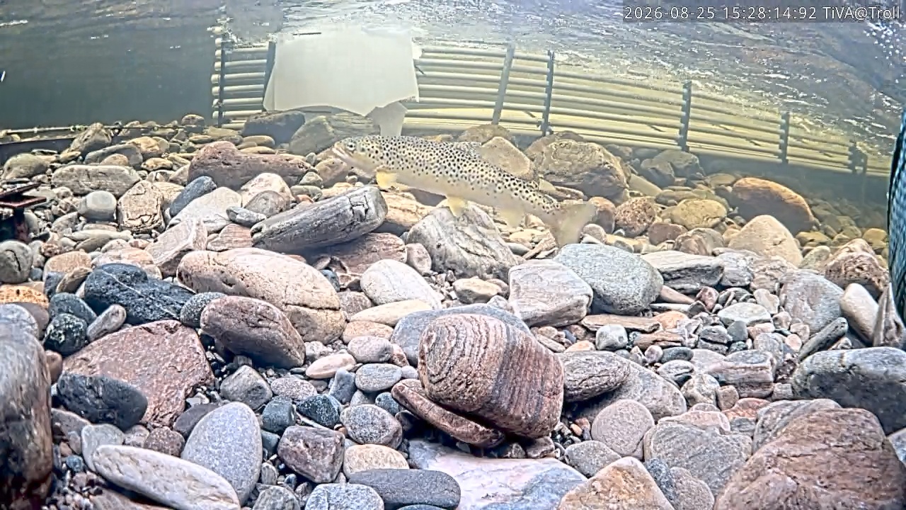 Video 2026-08-25 15:28