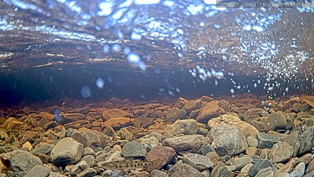 Video 2026-07-10 02:16