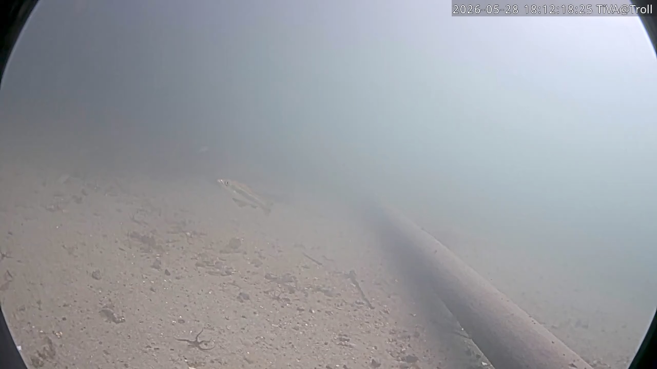 Video 2026-05-28 18:12