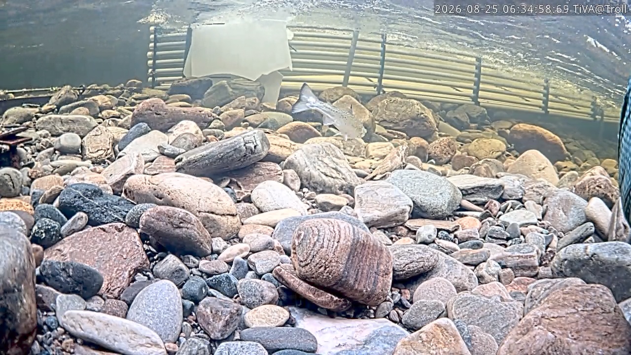 Video 2026-08-25 06:35