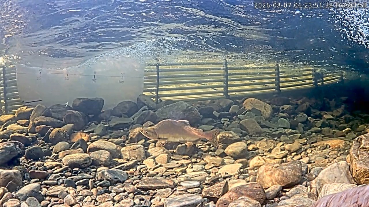 Video 2026-08-07 06:23