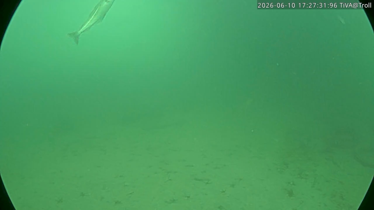 Video 2026-06-10 17:27