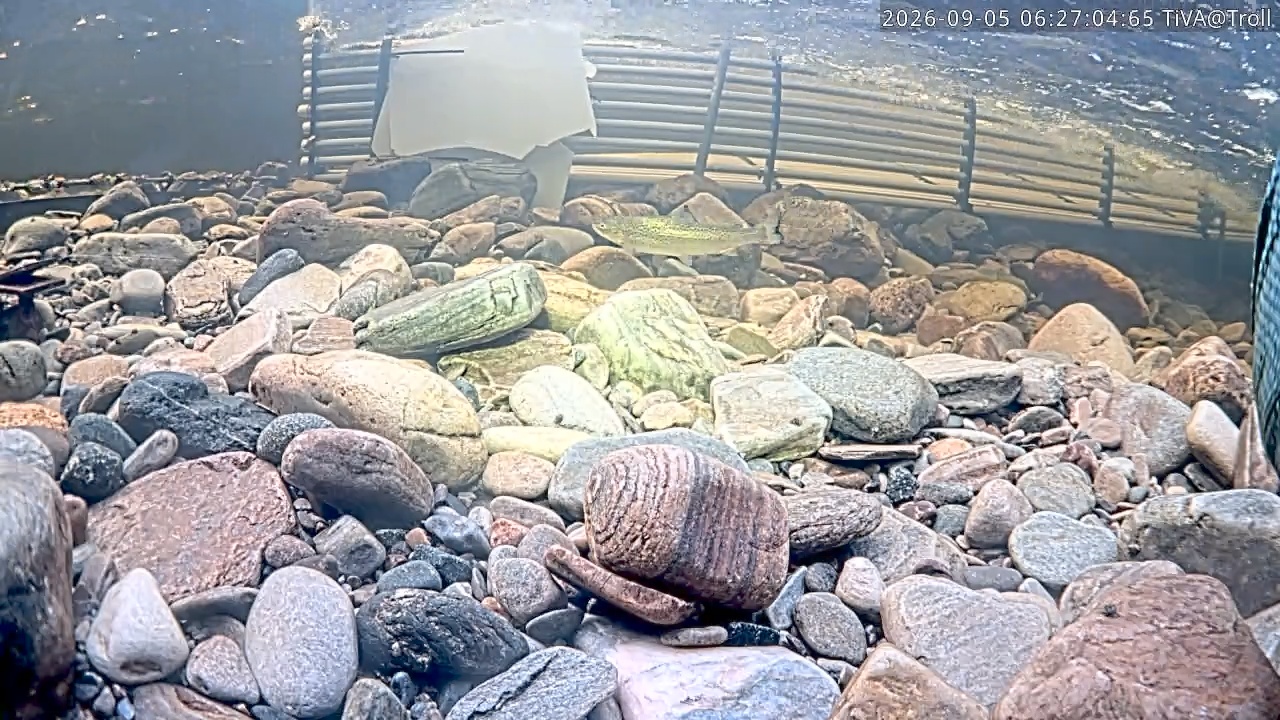 Video 2026-09-05 06:27