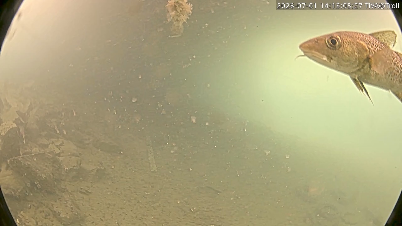 Video 2026-07-01 14:13