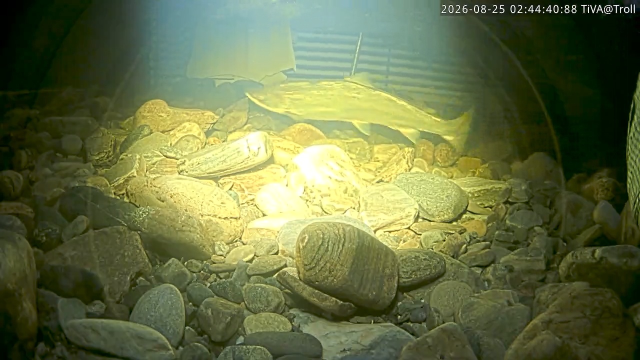 Video 2026-08-25 02:44