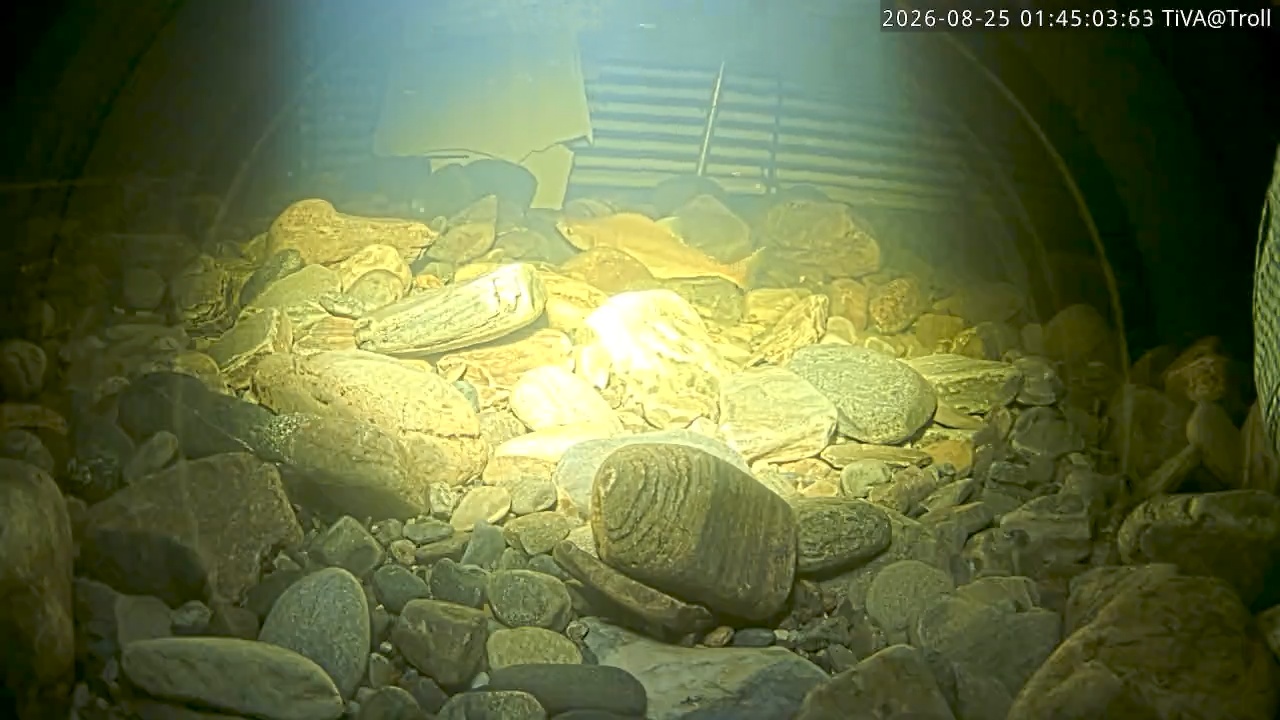 Video 2026-08-25 01:45