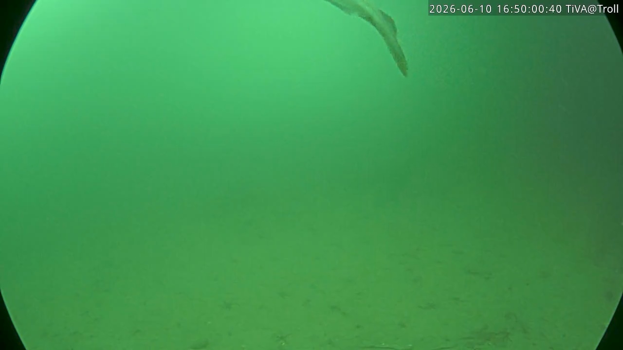 Video 2026-06-10 16:50