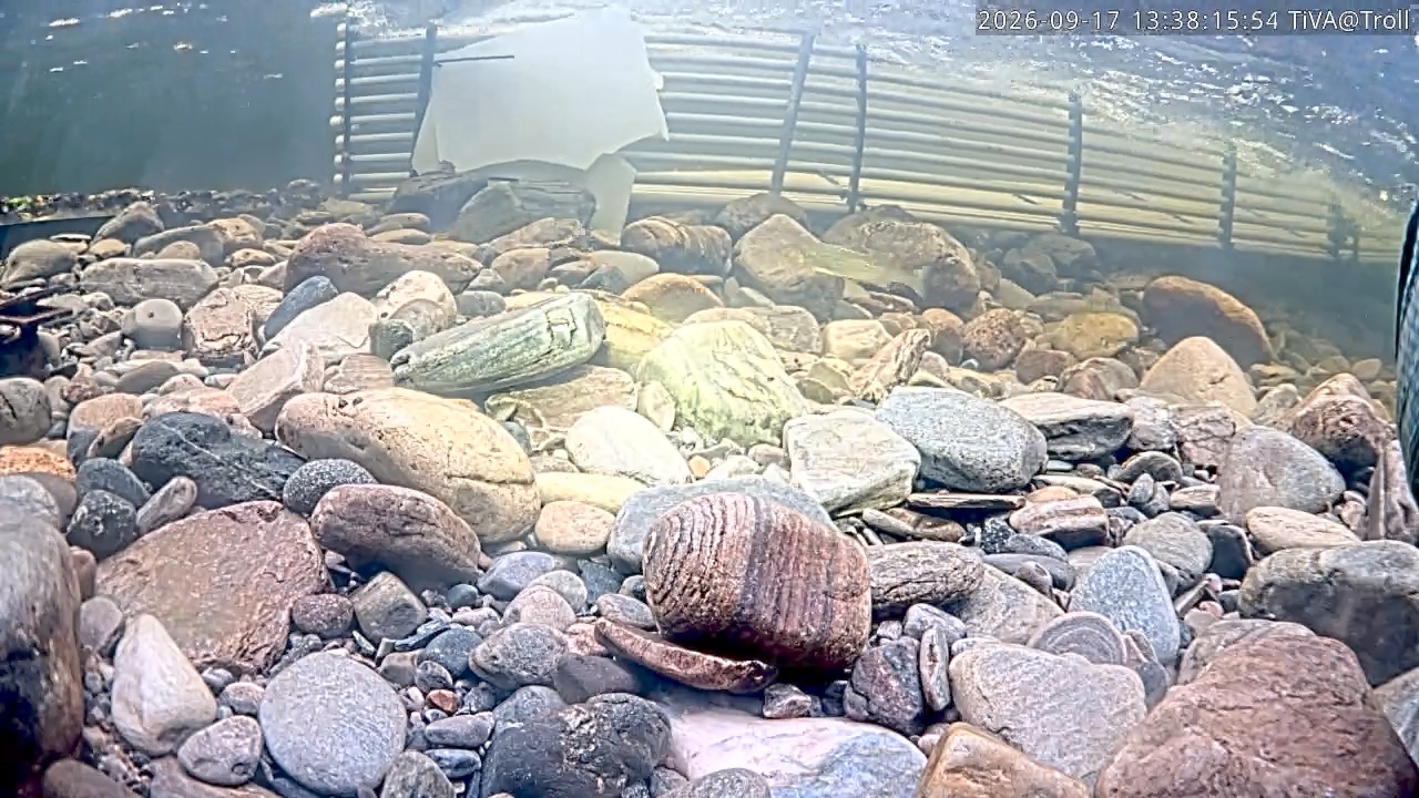 Video 2026-09-17 13:38